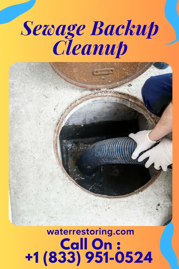 Sewage Backup Cleanup in Pitts, GA