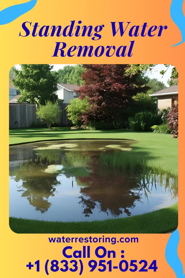 Standing Water Removal in Pitts, GA